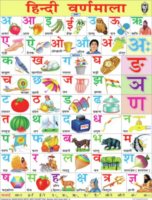 indianbookdepotjumbo fruit chart for children 40 inch x 54