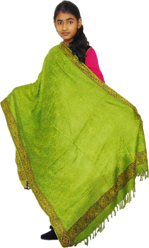 Vrinde Pure Wool Self Design Women Shawl(Green)