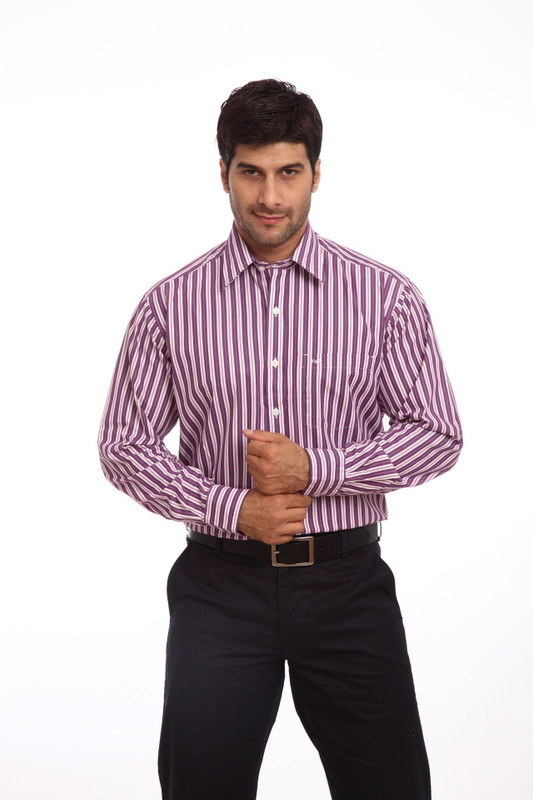 ColorPlus Men Striped Casual Purple Shirt