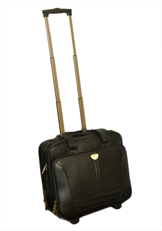 Sammerry trolly bags sale
