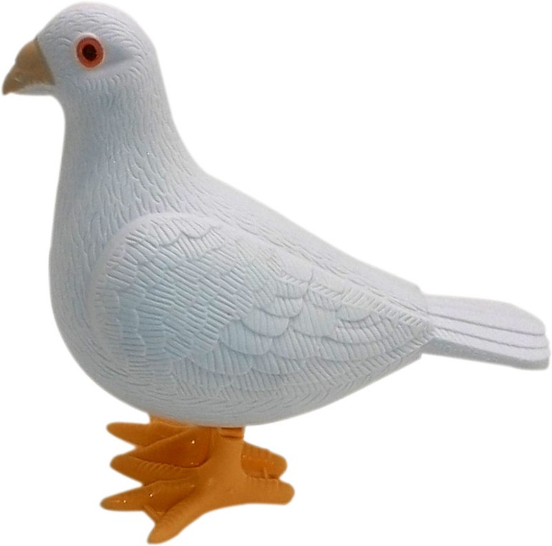 Imperial Walking Pigeon(White)