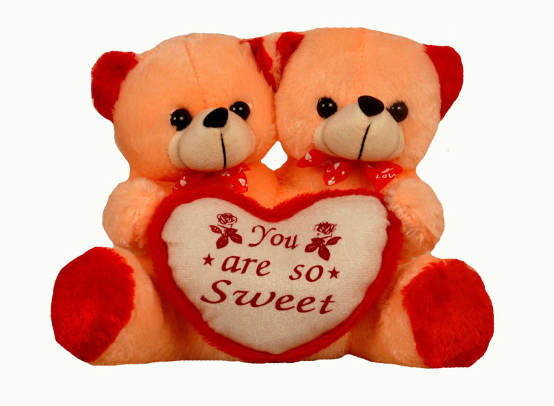 Riya Enterprises Sweet Teddy Fur - 24 cm(Orange)