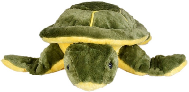 Deals India Deals India Green Turtle (20 cm) - 20 cm(Green)