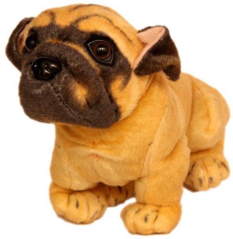 Homeshopeez Soft Cute Dog Puppy - 22 cm(Multicolor)