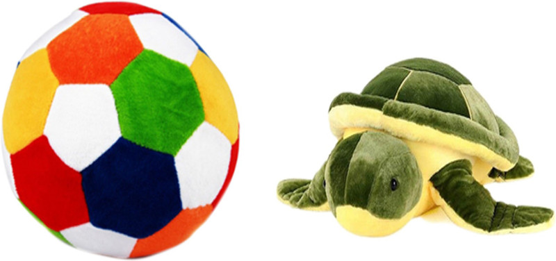 Alexus Football And Turtle  - 32 cm(Multicolor) RS.1499 (83.00% Off) - Flipkart