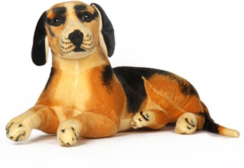 V Golly Jolly Nx Beagle Dog - 49 cm(Black, Brown)