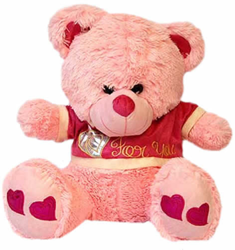 Grab A Deal Teddy Bear for You with Heart Paws - 16 Inch(Pink)