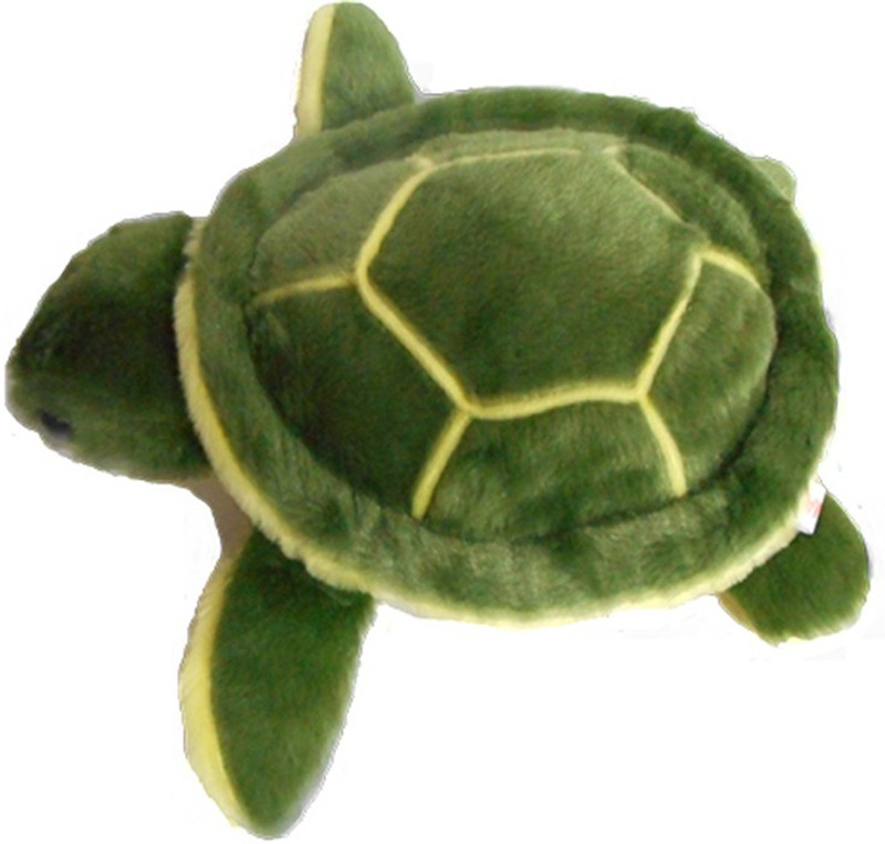 Storenavya Tortoise - 7 inch(Green)