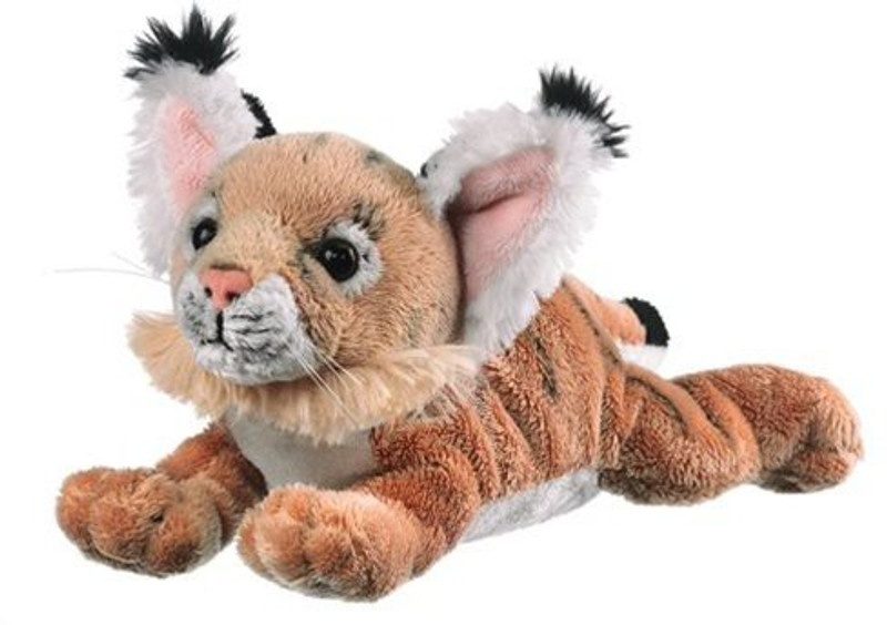 wa 9" Bobcat Cub Plush Animal  - 9 inch(Brown)