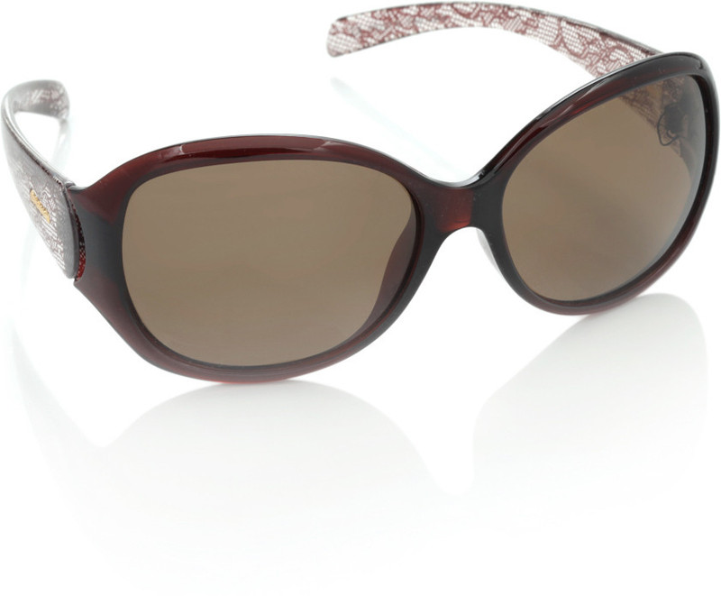 Polaroid Over-sized Sunglasses(Brown)