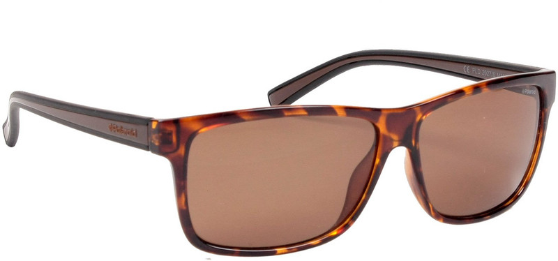 Polaroid Wayfarer Sunglasses(Brown)