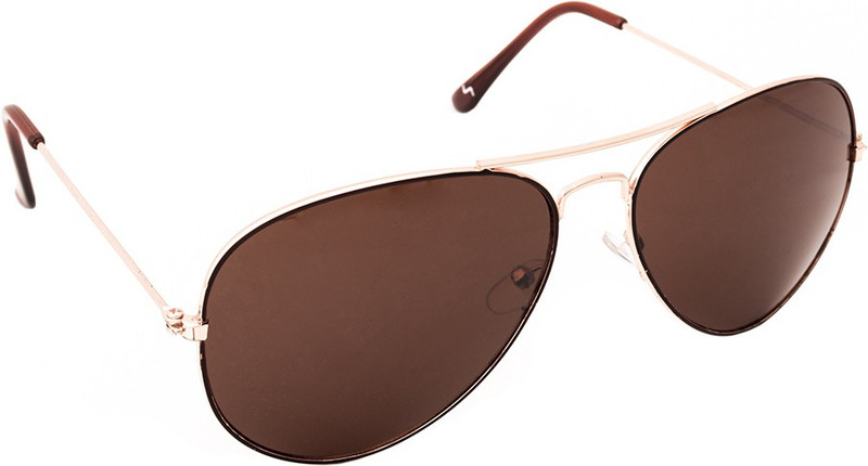 Skyways Aviator Sunglasses(Brown)