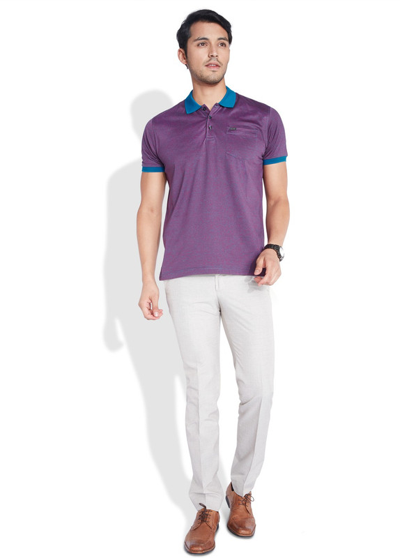 Park Avenue Solid Men Polo Neck Purple T-Shirt