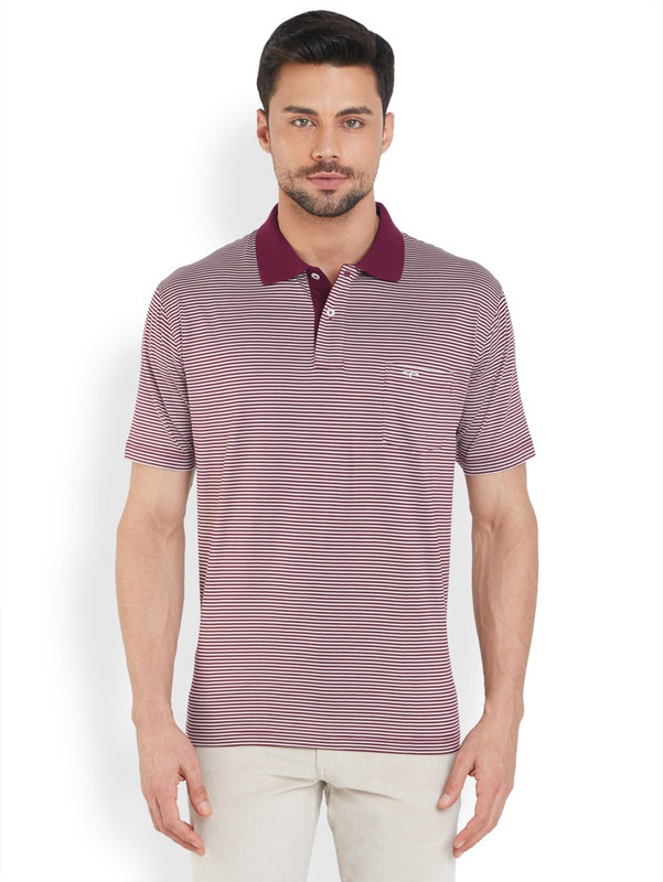 ColorPlus Striped Men Polo Neck Maroon T-Shirt