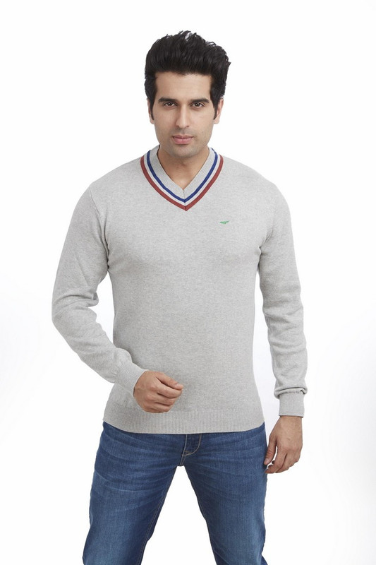 Park Avenue Solid Men V-neck Grey T-Shirt