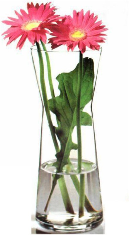 Forever Fresh - Vases, Flowers & Plants - home_decor