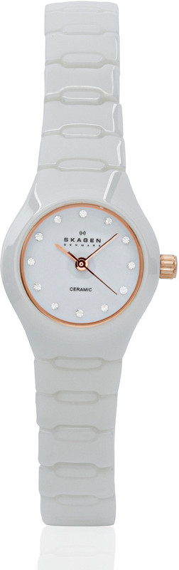Skagen 816XSWXRC1 OTHER Analog Watch - For Women(End of Season Style)