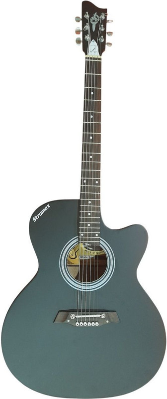 STRUMEX 41 inch Acoustic Guitar with Truss Rod for Professional Acoustic Guitar Tonewood Rosewood Right Hand Orientation(Black)