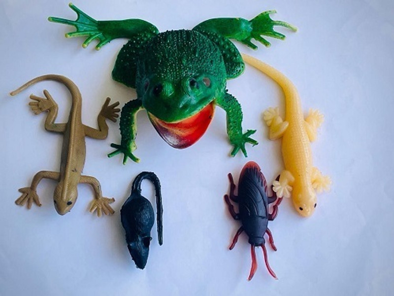 Tik C Cute rubber frog ,izard,rat gang toys(Multicolor)