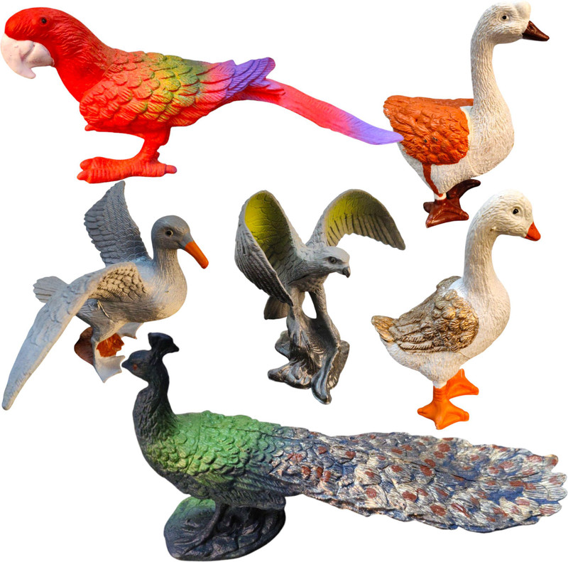 Krishna toys Big Size Bird Toys Set for Kids – Pack of 6 PVC Rubber Birds Animal Toy Set(Multicolor)
