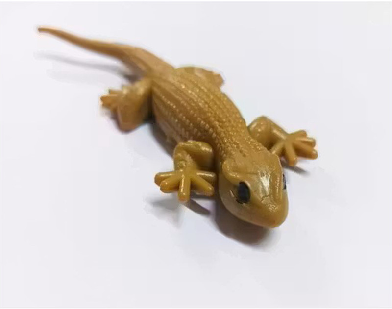 paabadhum Fake Rubber Lizard - Brown (Pack of 1)(Brown)
