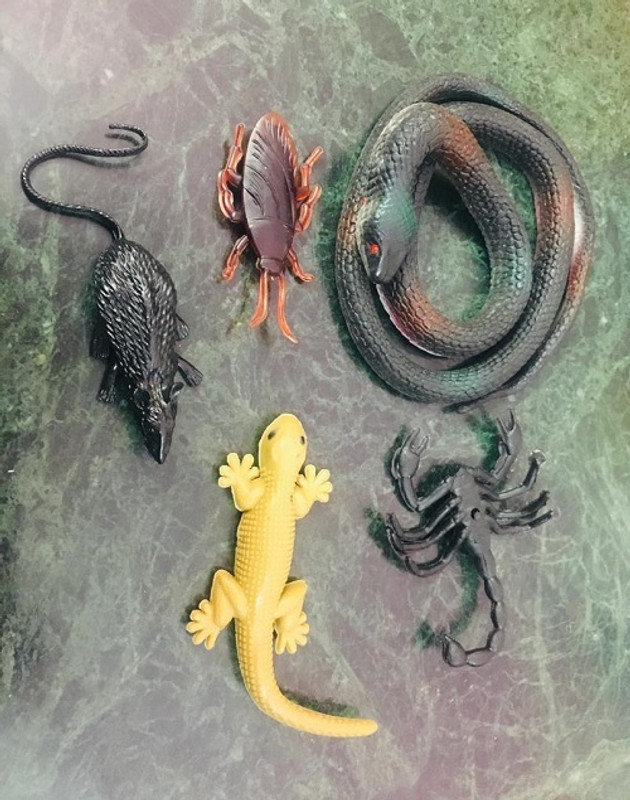 Tik C SNAKE LIZARD RAT GANG COMBO PACK(Multicolor)