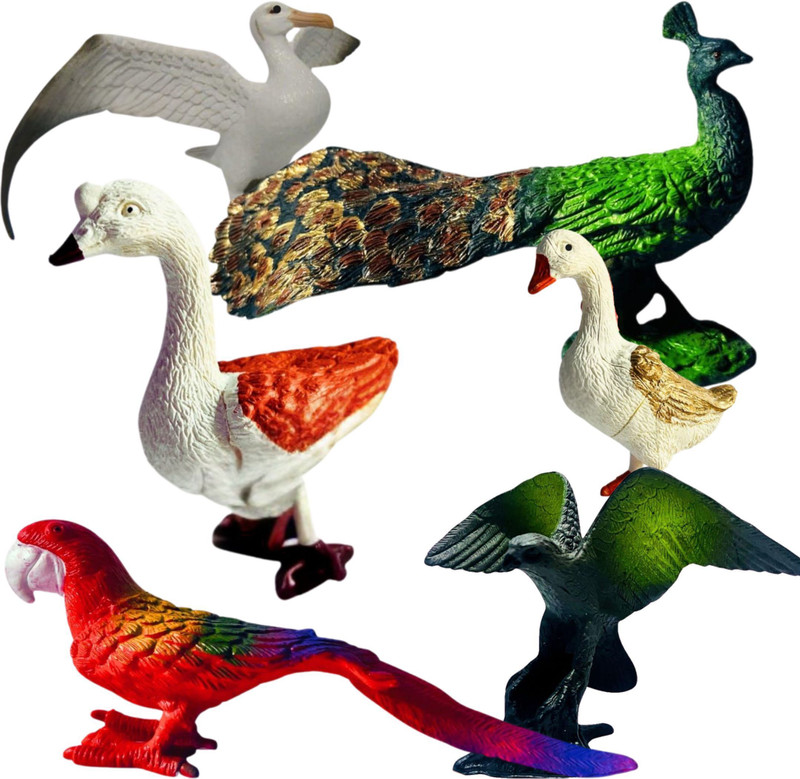 ZESTHOME Big Size Birds Toys for Kids – Realistic Colorful Bird Figures for Learning Play(Multicolor)