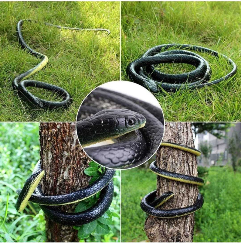 Toys gate Amazing Snakes Toys, Rubber Snake Toy Prank Fake, Funny, Snake (1 PCS) Gag toy Gag Toy(Black)