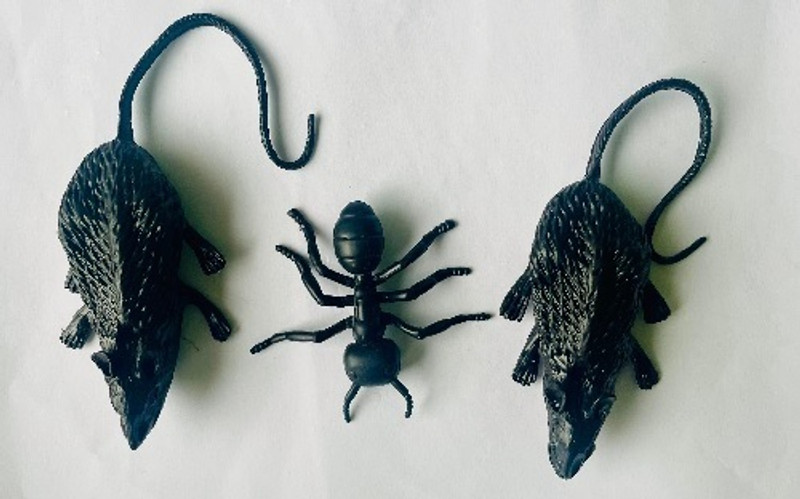 Vedy Animal Toys Rat & Ant Gang Toys(Black)