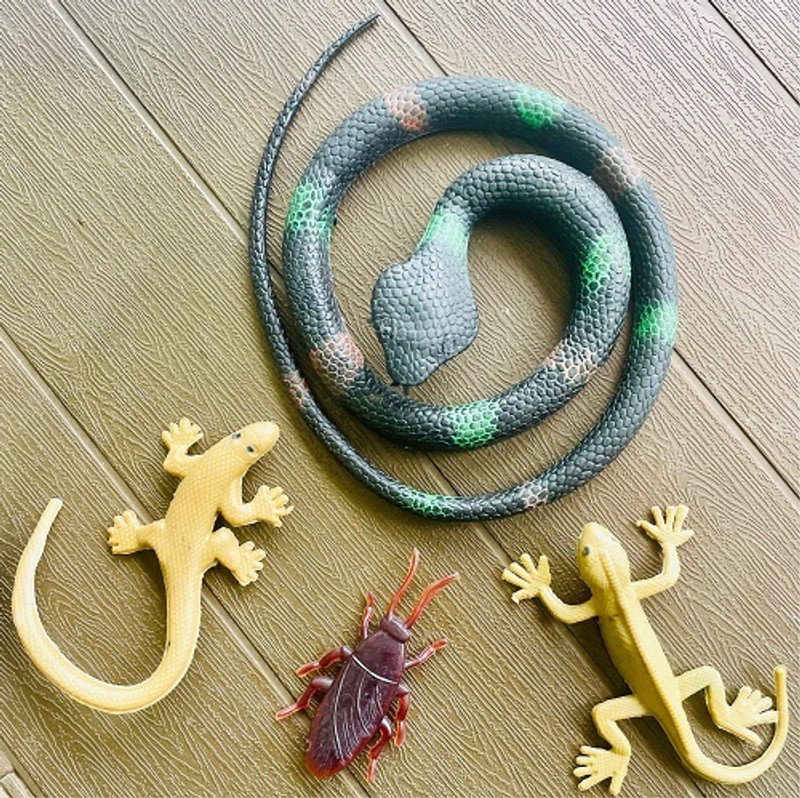 Tik C animal toys corcodile,lizard,cockroach and rat(Multicolor)