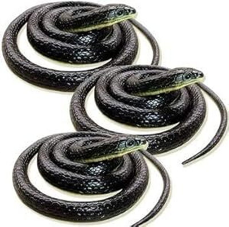 SWASHAA rubber snake jungle animal for pranks Snake Gag Toy (Multicolor)(Multicolor)