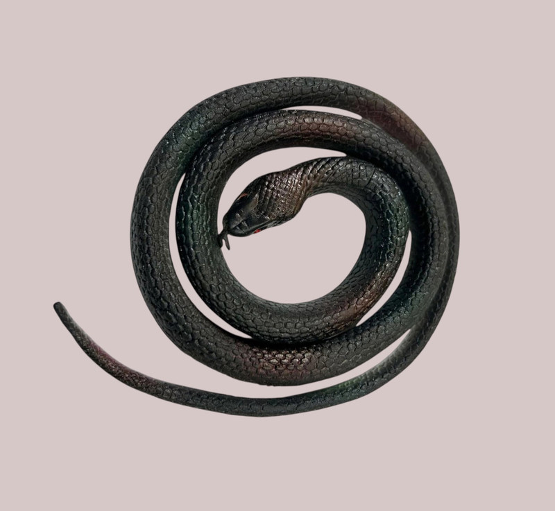 paabadhum Rubber snakes toy prank fake gags toy pack of 2(Multicolor)