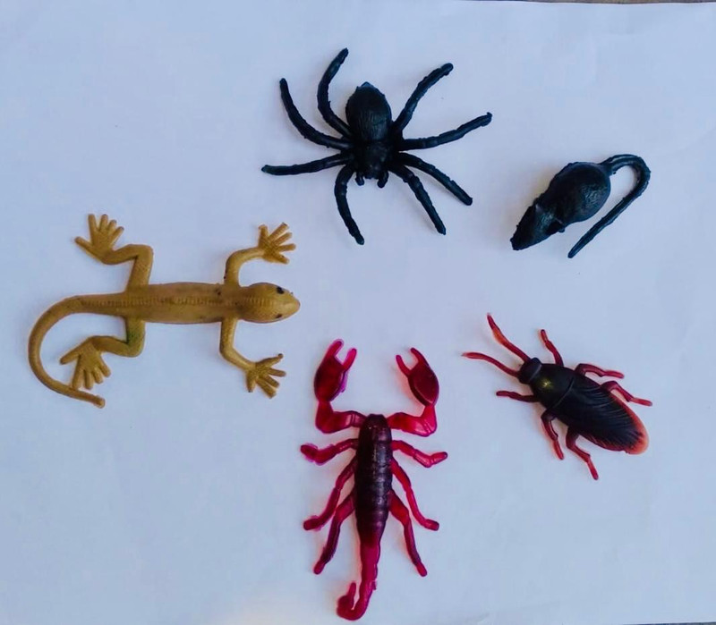 Vedy Rubber spider mouse cockroach scorpion lizard gang toys for kids(Multicolor)