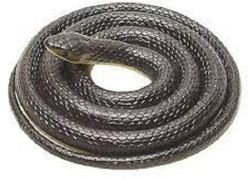 s yuvraj Fake For Prank(Colour as per availibility) rubber snake prank toy for kids 1pc (black) Gag Toy