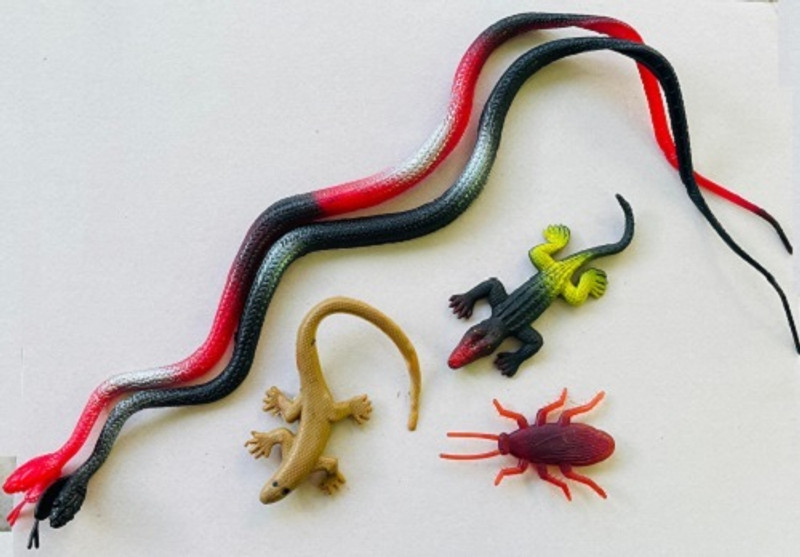 Tik C toys for kids cute snake,lizard and cockroach toys(Multicolor)