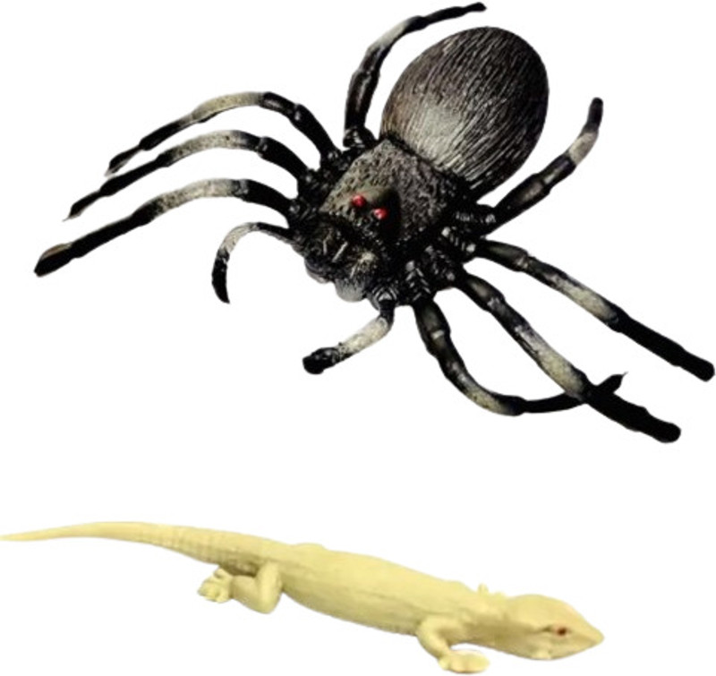 Tik C spider and lizard combo pack(Multicolor)