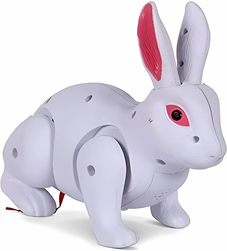 Kids Mandi Walking Jumping Rabbit Toy - Interactive Bunny, Battery Operated Animal Toy(Multicolor)