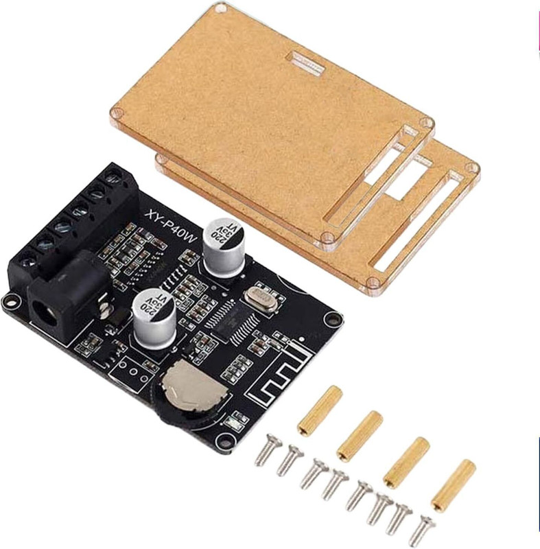 amiciSound Mini 40W Bluetooth 5.0 Amplifier Board, Dual Channel, AUX Input/Output 40 W AV Control Receiver(Black)