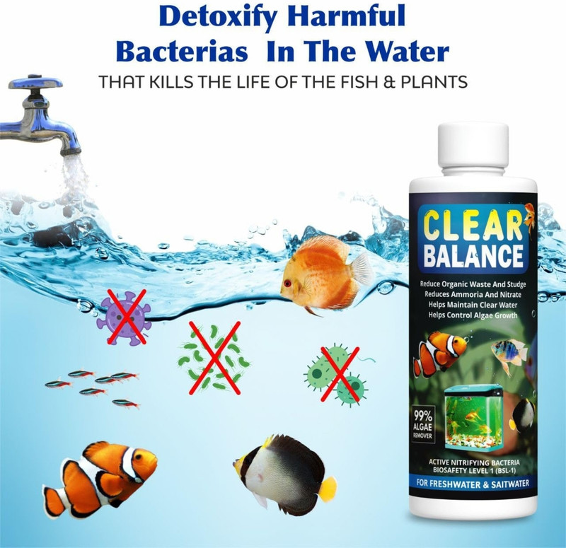 Smit International Clear Balance Aquarium Cleaner, Fish Tank Water Purifier Algae Remover 200ml, 1 Solvent Aquarium Cleaner