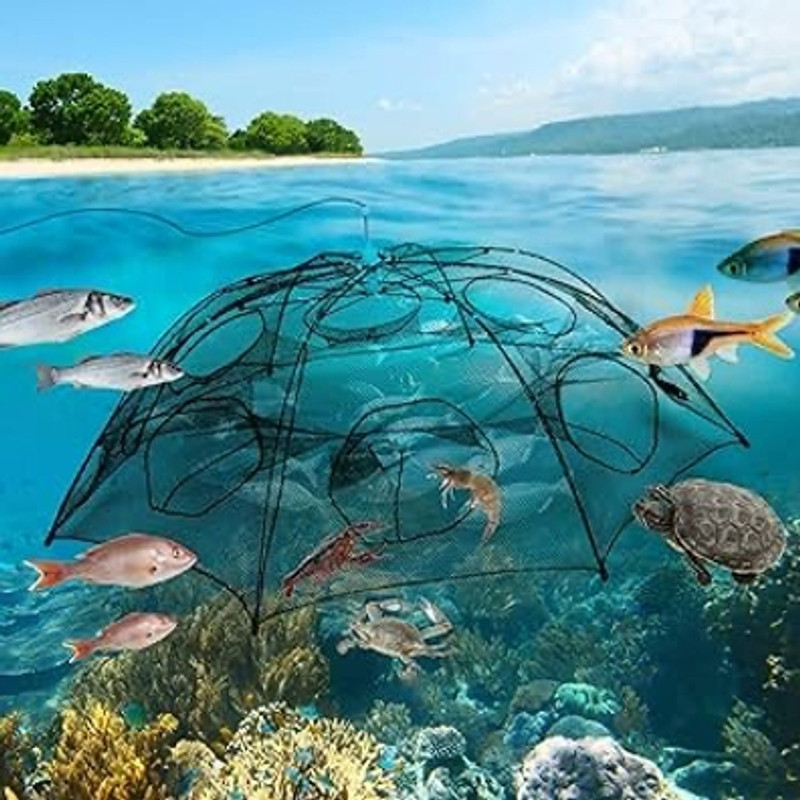 Satguru 6 sides Imported chinese style Fishing net trap umbrella cage net | catch shrimp Aquarium Fish Net(60 cm x 90 cm)