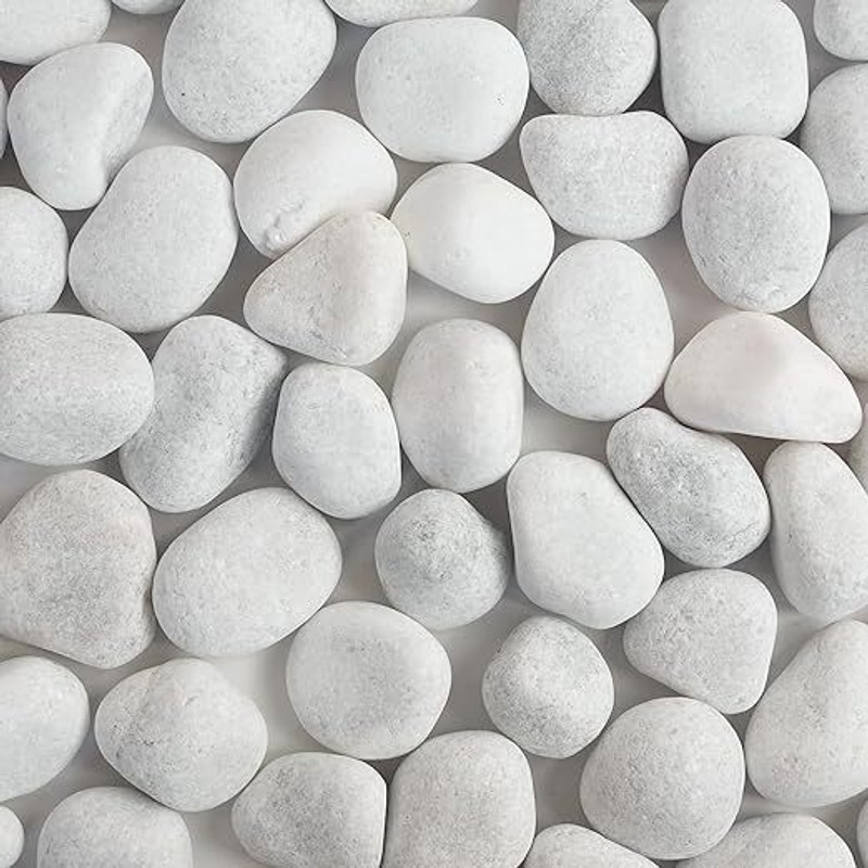 Foodie Puppies Foodie Puppies Unpolished White Stone (2Kg, Large) (5cm-7cm) for Aquarium River Rock Unplanted Substrate(White, 2 kg)