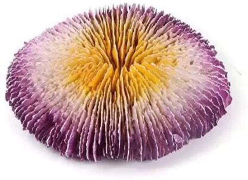 Shirlip Crushed Coral Unplanted Substrate(Purple, 0.3 kg)