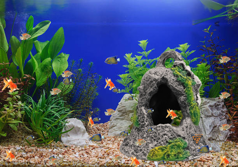 GIG BAZAAR Aquarium Broken Bell-Shaped Ornament for Fish Shelter Hiding Spot Area Decor Laterite Unplanted Substrate(Multicolor, 0.2 kg)