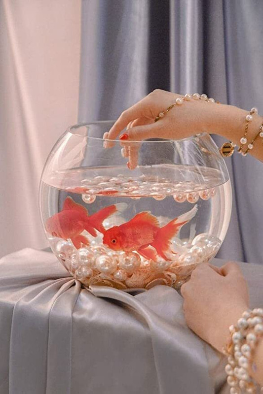 ATLOYAL Crystal Clear Glass Fish or Terrarium or Decorative Bowl Round Ends Aquarium Tank(5 L)