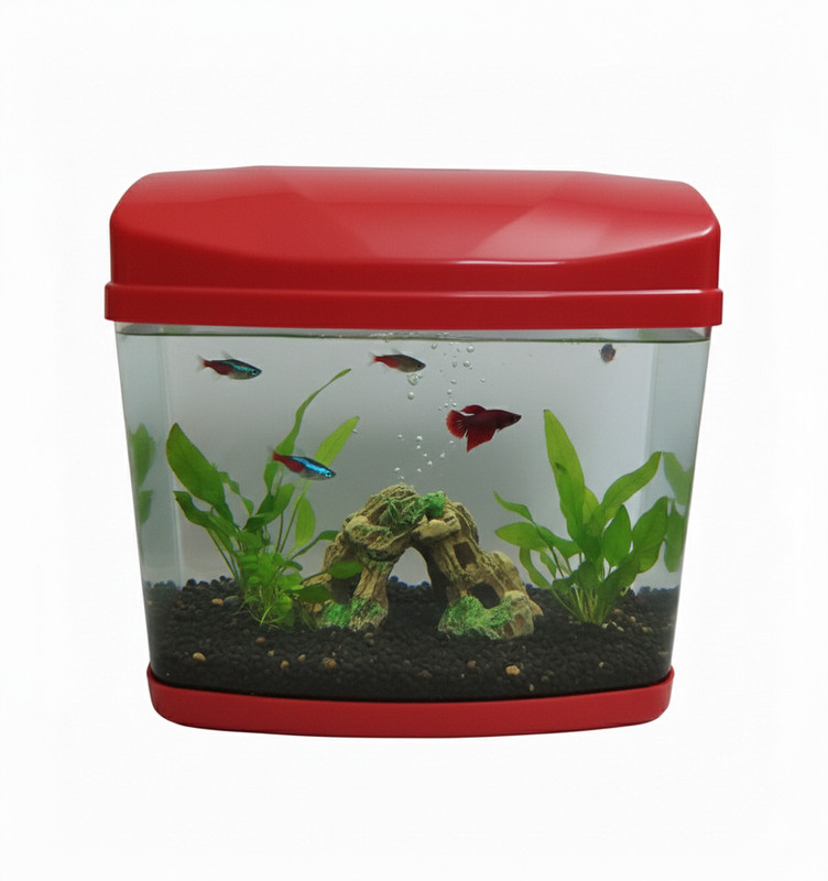EVANLINE ENTERPRISES Mini Table Aquarium Plastic Fish Tank (Mavery Colours) Rectangle Aquarium Tank(2.3 L)