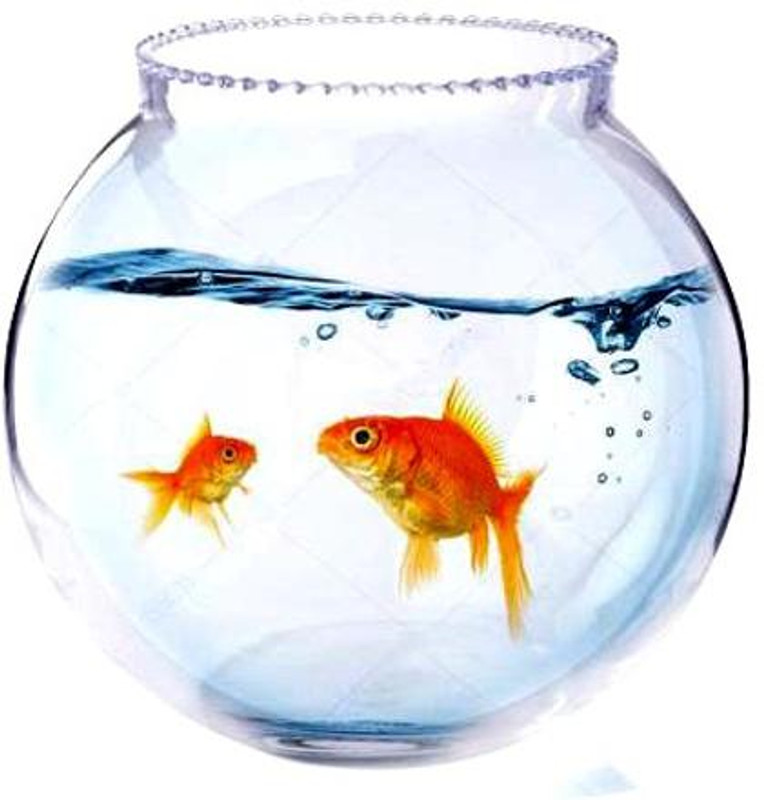 ATLOYAL AT_01 Round Ends Aquarium Tank(3 L)