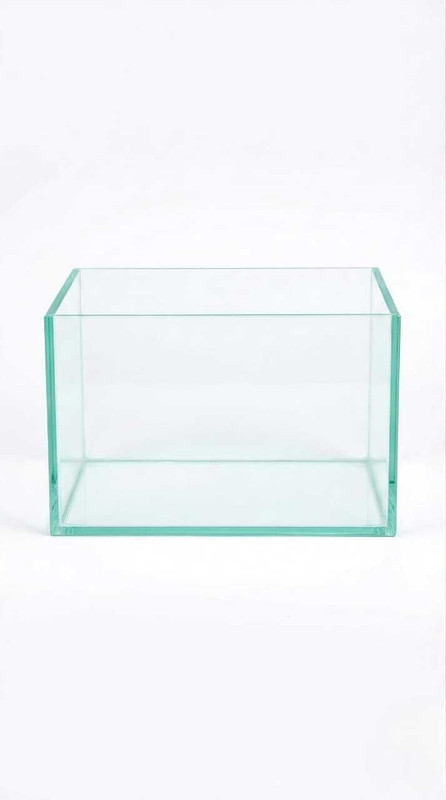 AquariumGallery Aquarium Glass Tank for Home & Office Perfect for Betta & Goldfish (9X6X6 Inch) Rectangle Aquarium Tank(6 L)