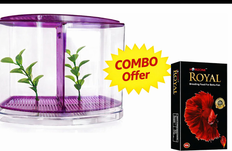 HNS Double betta tank with free Royal betta fish food/ color may vary Corner Pentagon Aquarium Tank(1.5 L)