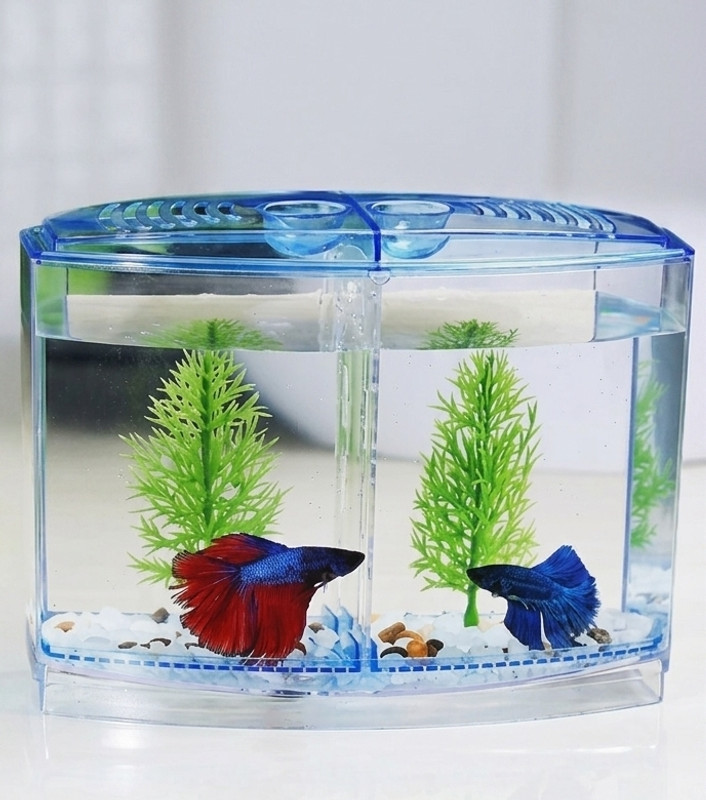 Petscope K4 Double Betta House Rectangle Aquarium Tank(0.6 L)