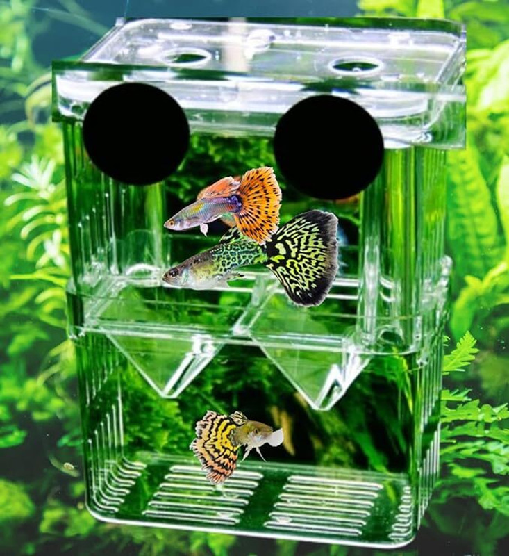 Scroll Store Aquarium Double Deck breeding Box for Fish | Isolation Box for Fish and Shrimp Aquarium Tool